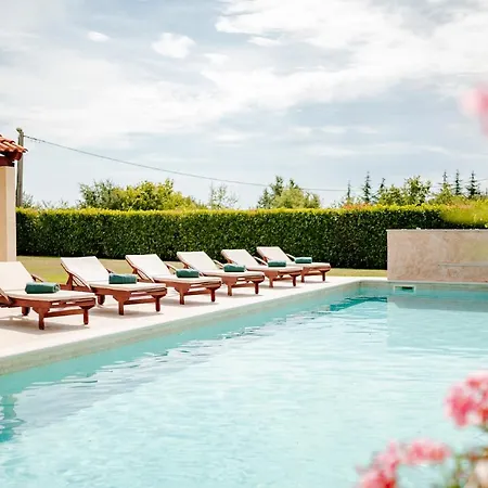 Begonia Mit Privatem Saltwater Pool Višnjan