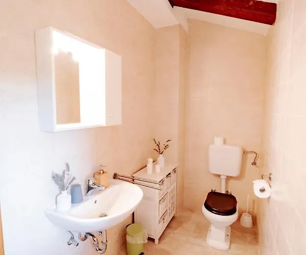 Begonia Ferienhaus *